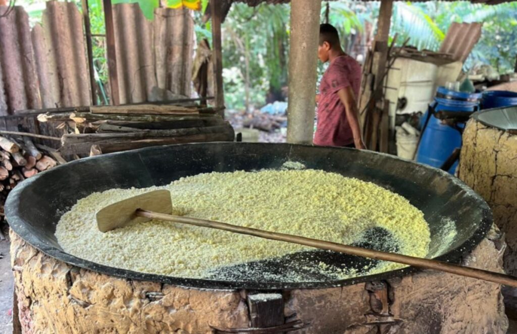 Comunidade Quilombola Espírito Santo do Itá: tradição e futuro em um território quilombola da Amazônia